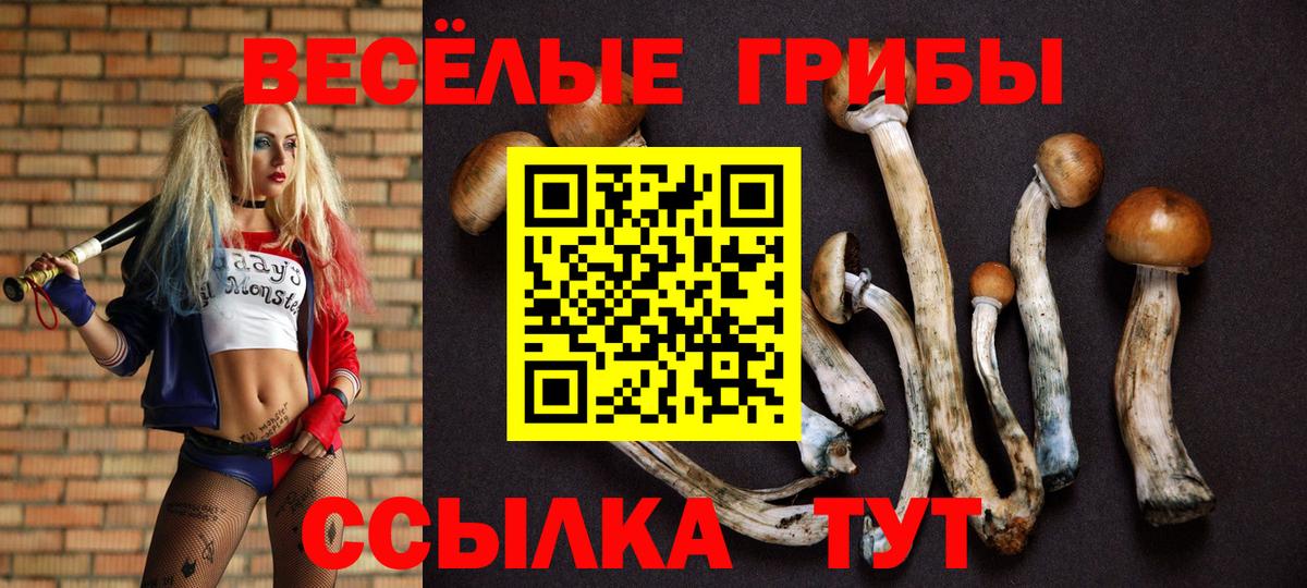 Галлюциногенные грибы Psilocybe Донской